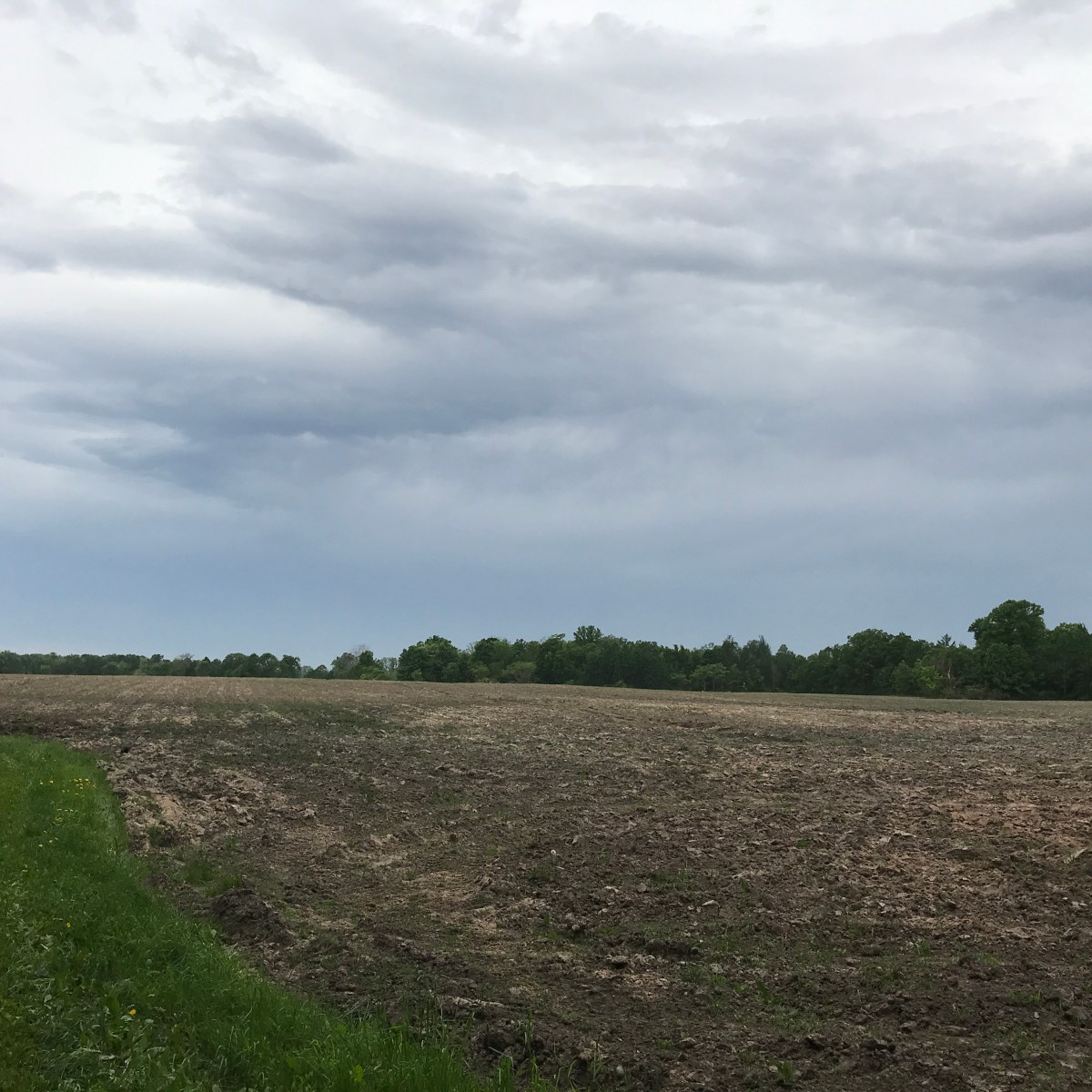 Treasured Haven Farms 12 Hour&nbsp;Run