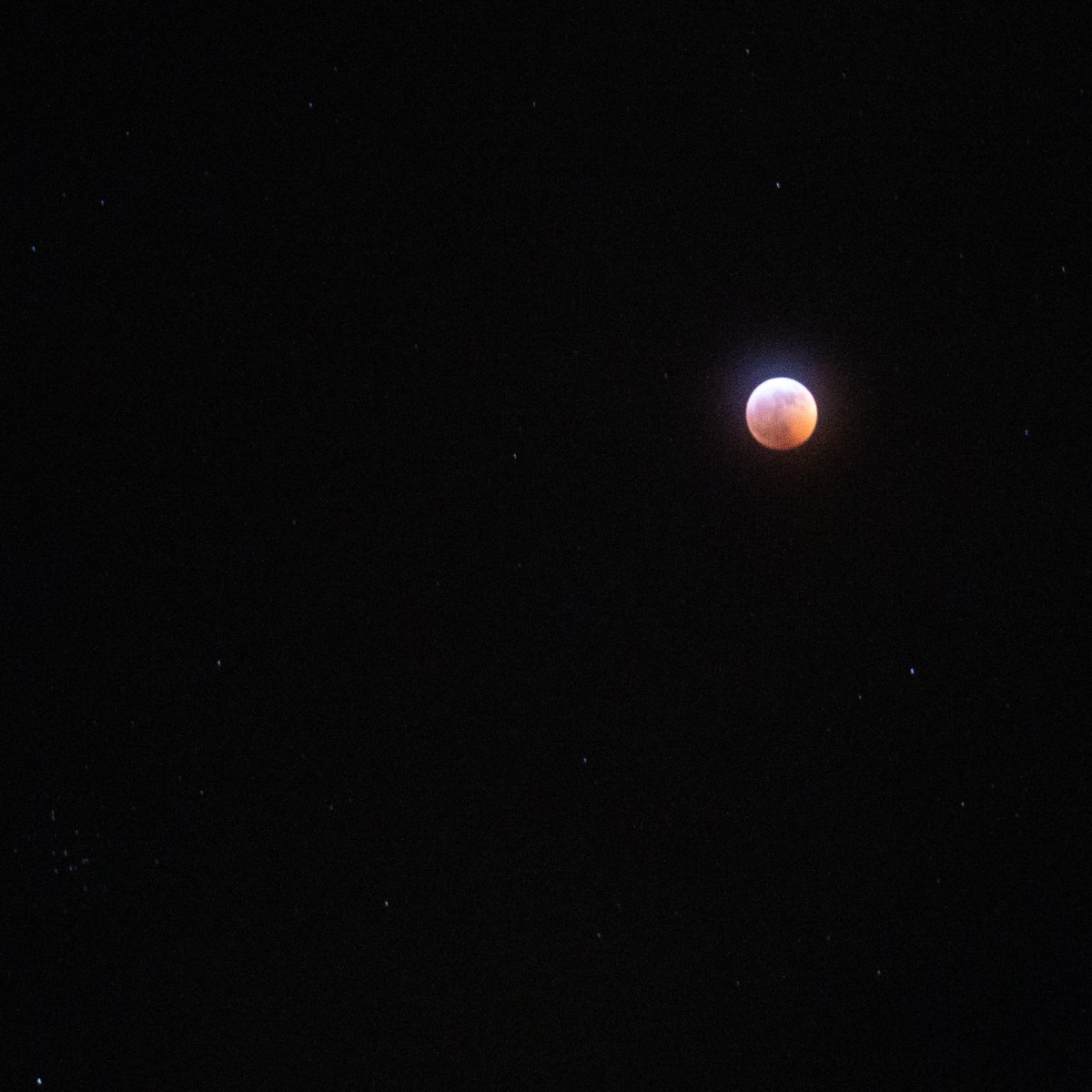 Super Blood Wolf&nbsp;Moon