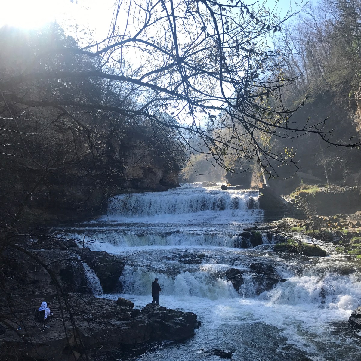 Race report: Willow 20&nbsp;mile