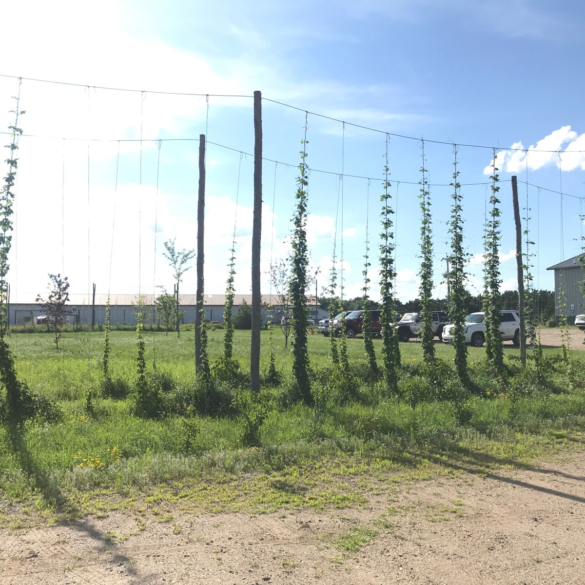 Brewery Review: Brainerd, Crosby, and Little Falls&nbsp;Breweries