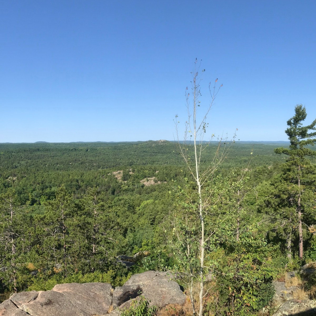 Race Report: Marquette&nbsp;50K