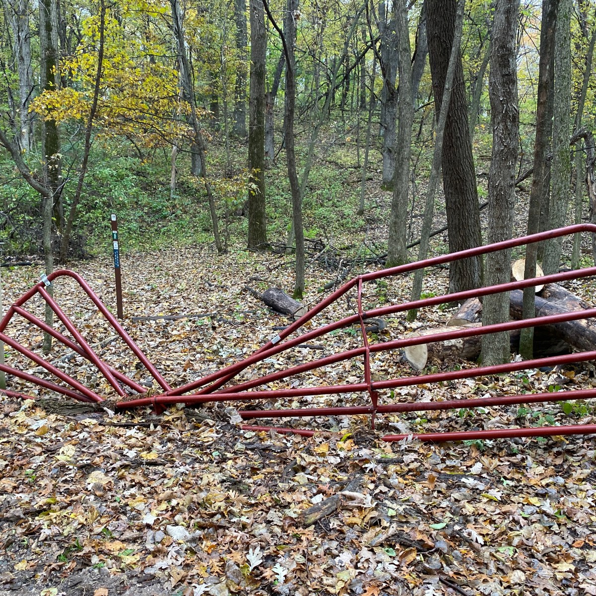 Fitness week recap –&nbsp;10/14/2019