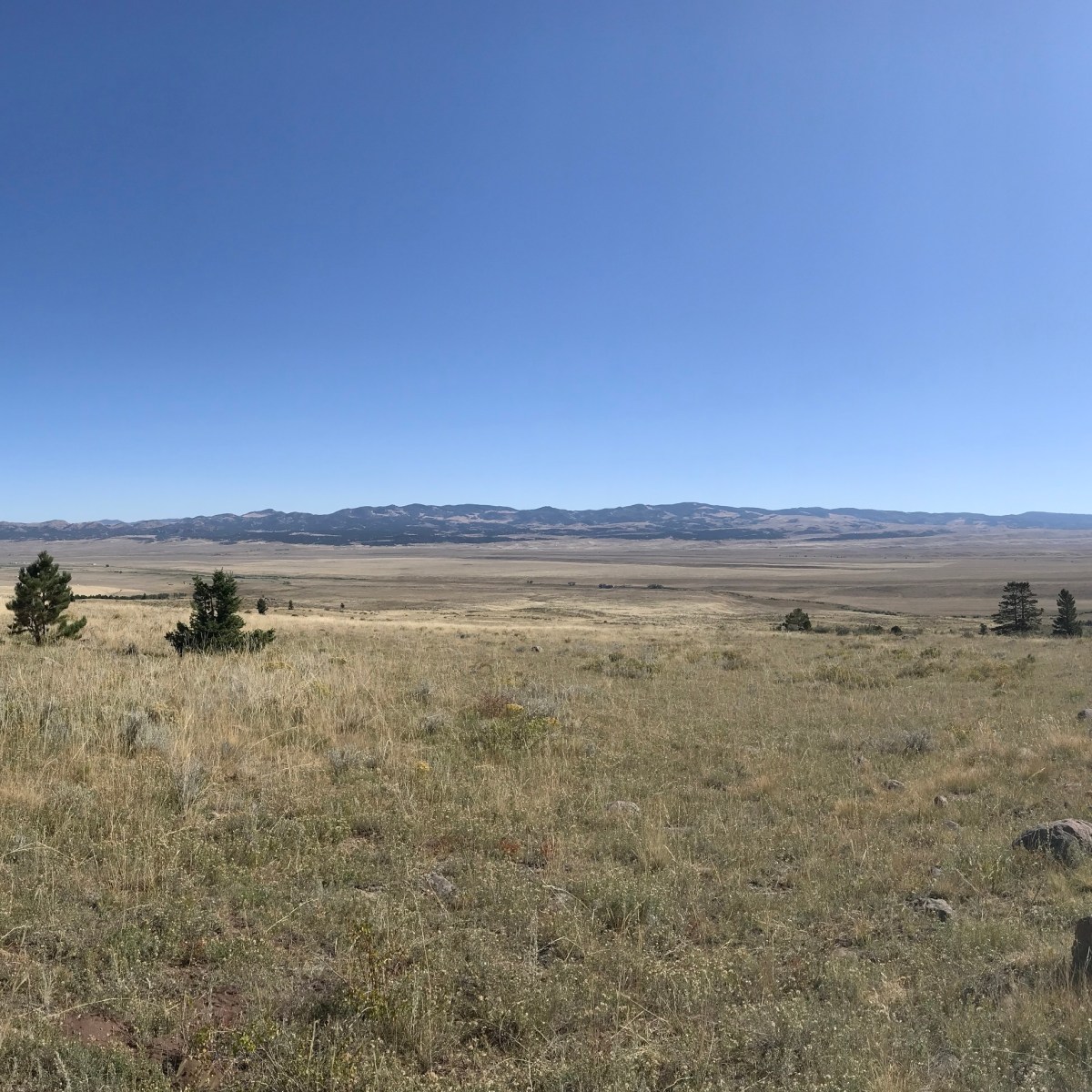 2019 Year in&nbsp;Review