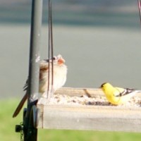 A quick blog&nbsp;check-in