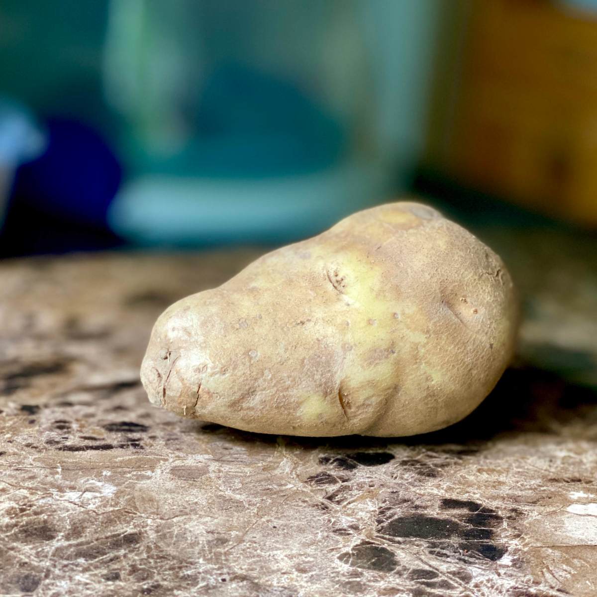 The Potato Guardian… a&nbsp;reading