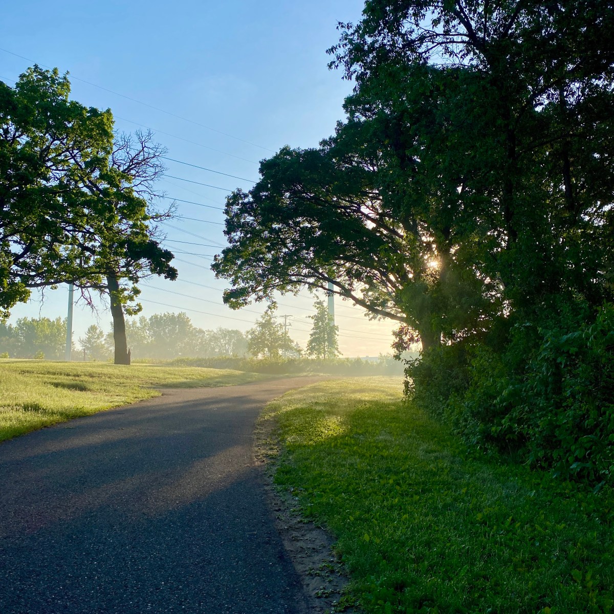 The privilege of my&nbsp;whiteness