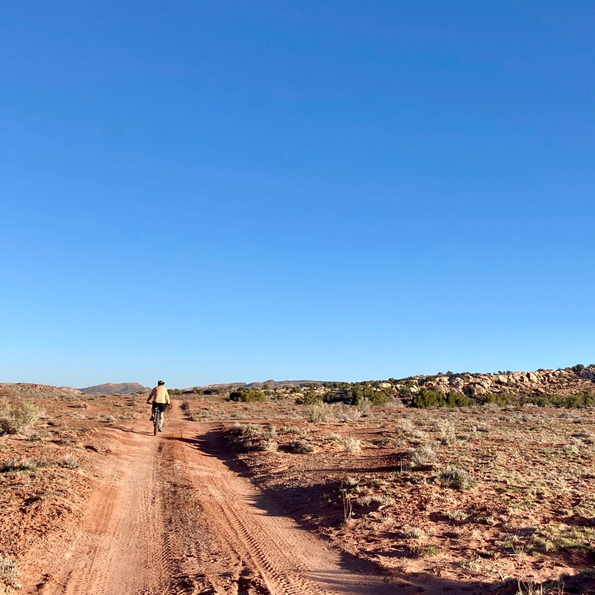 2023 Biking year in&nbsp;review