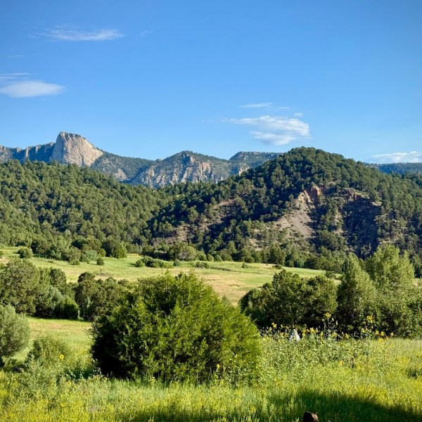 Race Report: Philmont Trail&nbsp;Marathon
