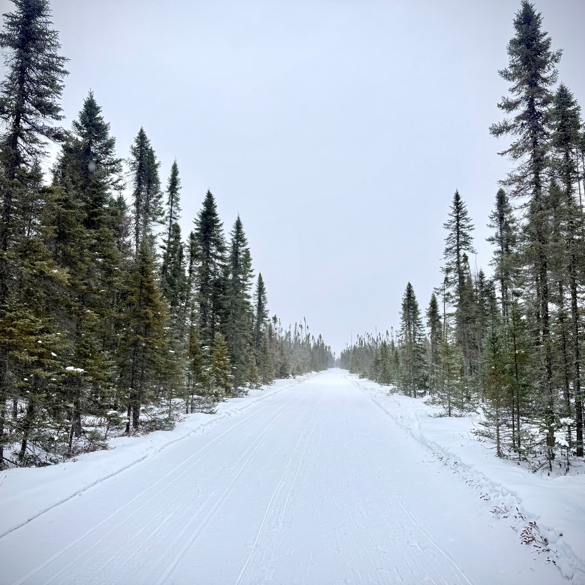 Race Report: Arrowhead 135&nbsp;DNF